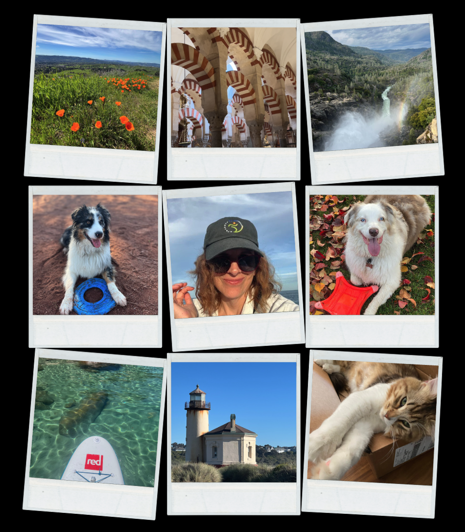 Personal collage featuring Miriam with lifestyle images including travel, dogs, outdoors, SF Bay Area, and team collaboration